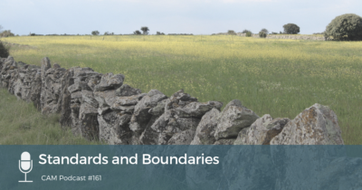 161 Standards and Boundaries