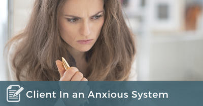 Client in an Anxious System