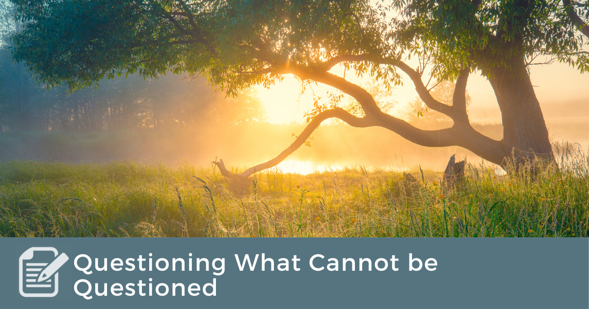 Questioning What Cannot be Questioned (1)